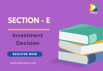 Section E - Investment Decision